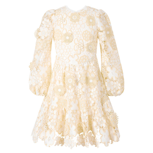 Amara Embroidered Mini Dress