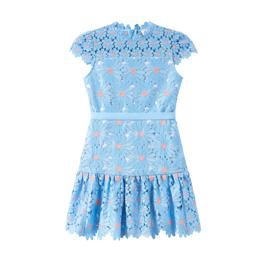 Maya Embroidered Mini Dress