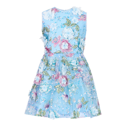 Rosaline Embroidered Mini Dress