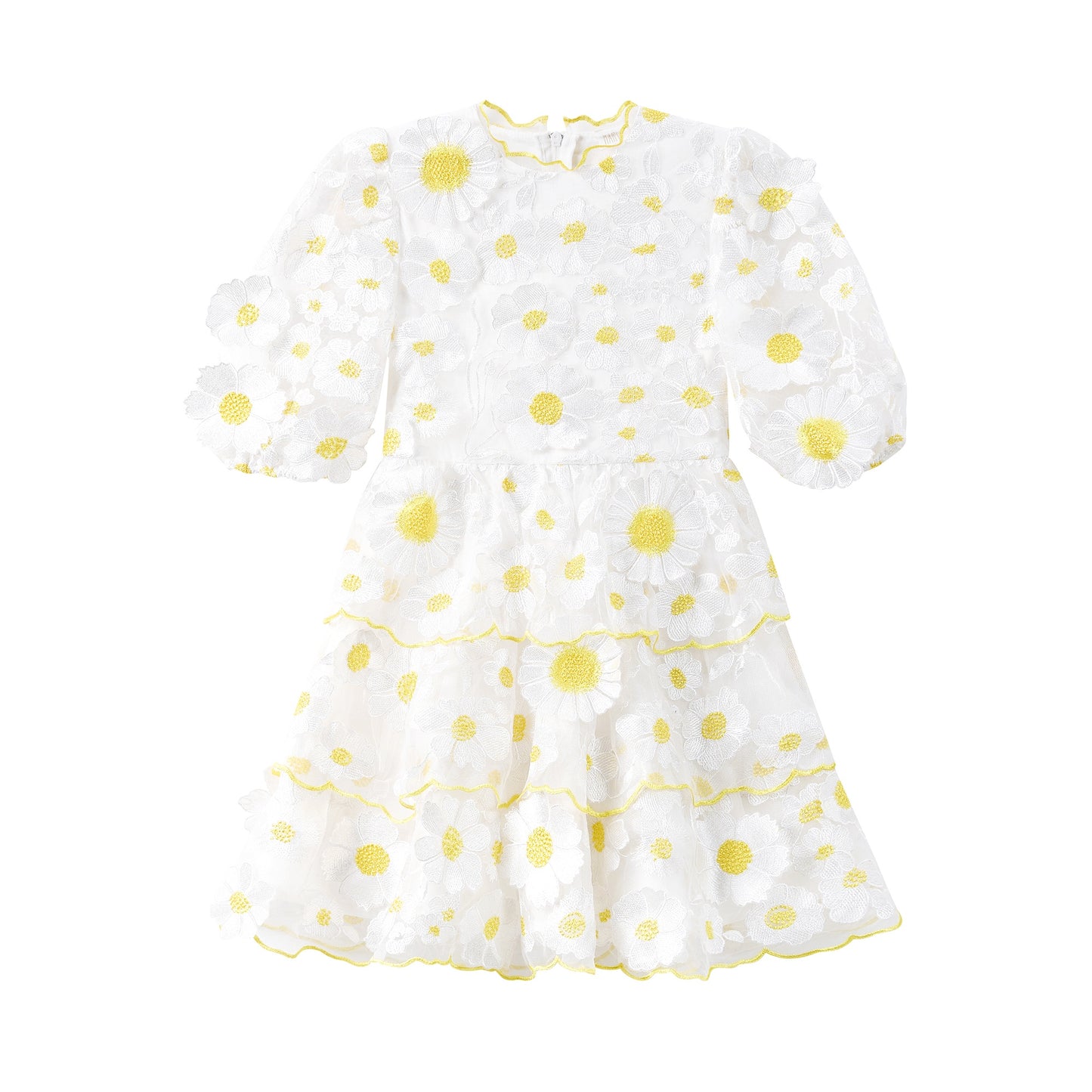 Valeria Embroidered Mini Dress