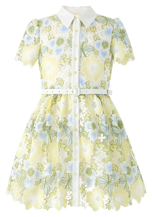 Vienna Embroidered Mini Dress