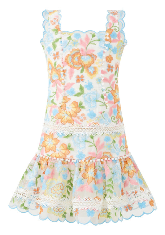 Bianca  Embroidered Mini Dress