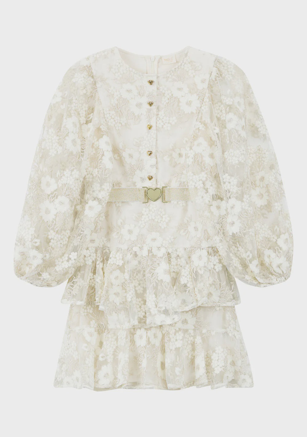 Dorothy Embroidered Mini Dress